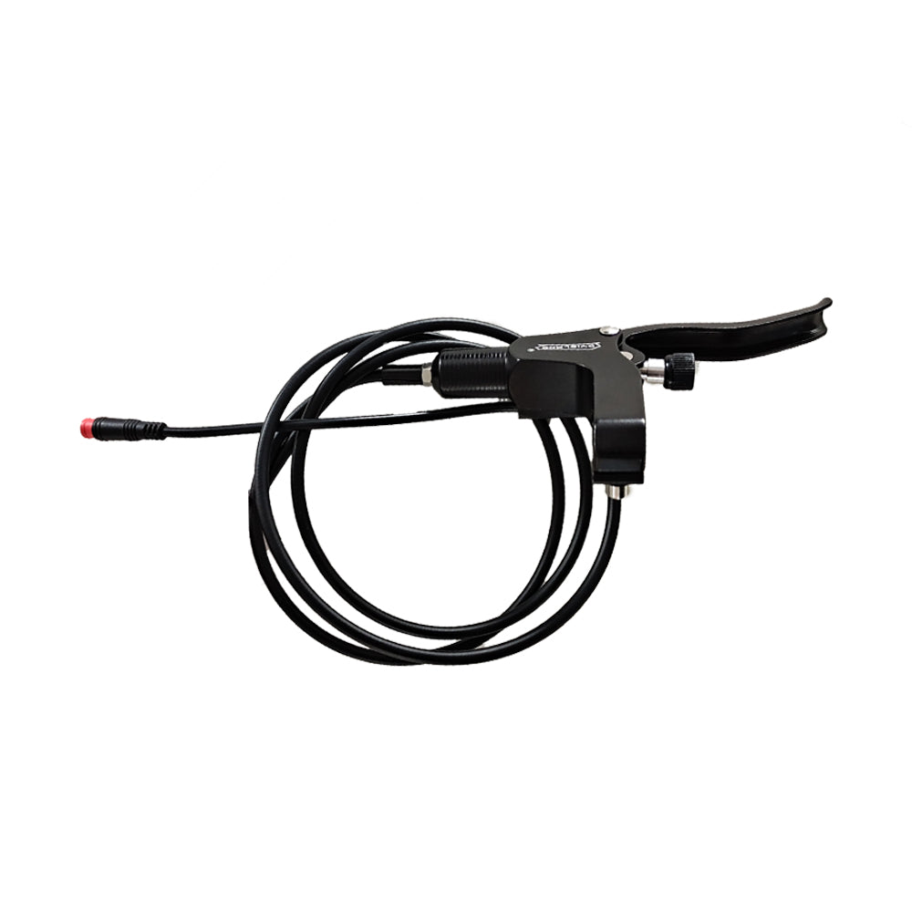 Gobi S Brake System