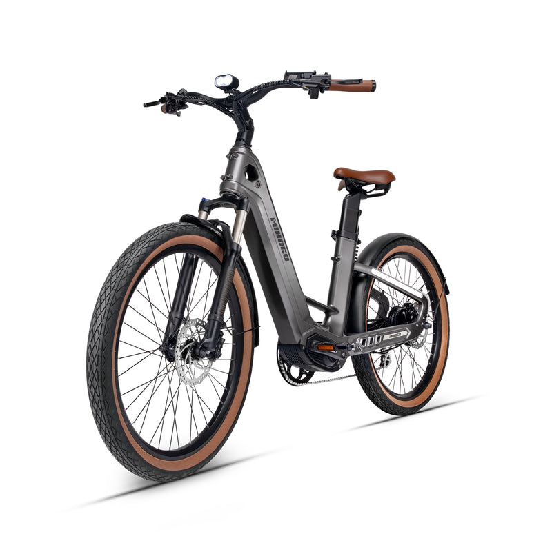 Ebikes