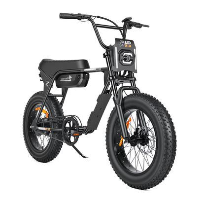 Bicicleta Elétrica Fat Tire Dirt E-bike Adulto Max 1000w Z7